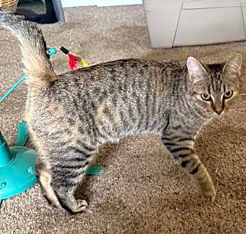 Photo of Dottie