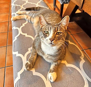 Photo of Caruso