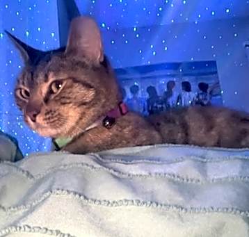 Photo of Tabitha