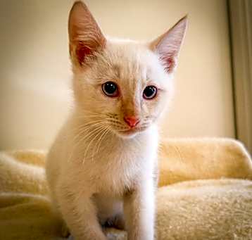 Photo of Tali