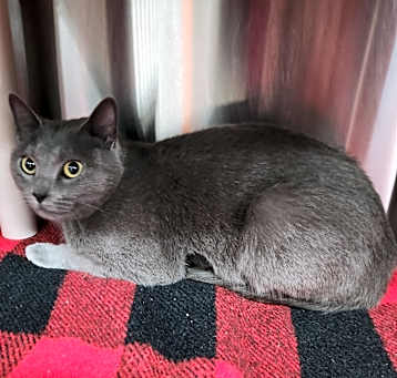 Photo of Stormy