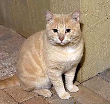 Photo of TABS