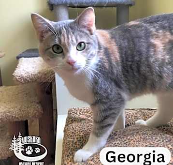 Photo of Georgia - Gorgeous!