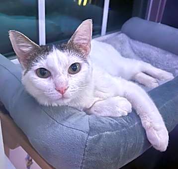 Photo of Kaizen