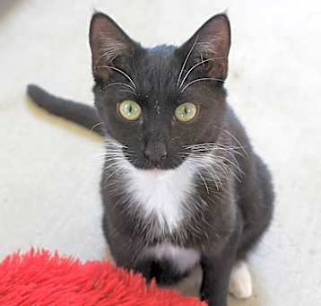 Photo of Winkin