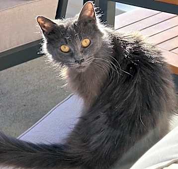 Photo of Sparkle
