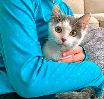 Photo of Luna
