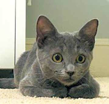 Photo of Stormy