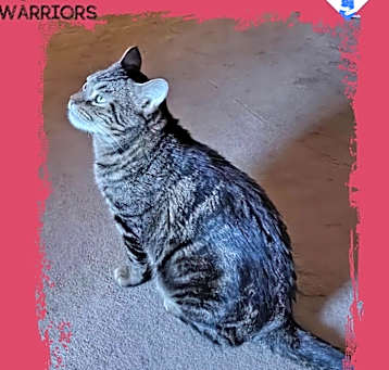 Photo of Wednesday