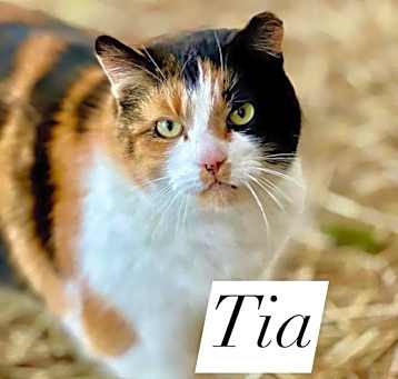 Photo of Tia