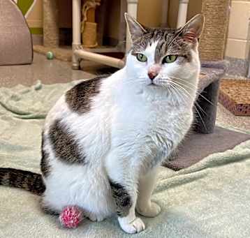 Photo of Zoe