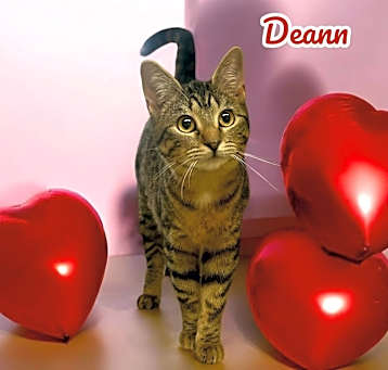 Photo of Deann