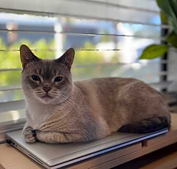 Photo of Topanga