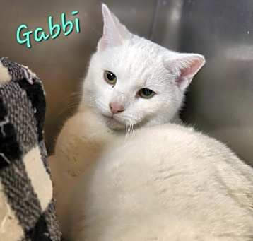Photo of Gabbi