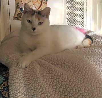 Photo of Cindy