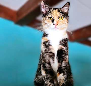 Photo of Betina