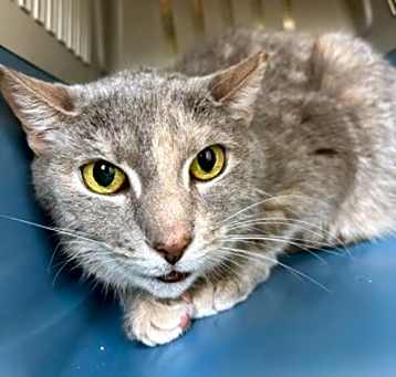Photo of Georgann - In a Foster Home
