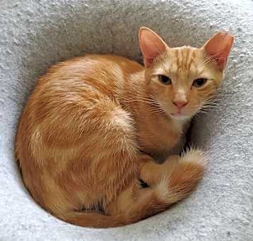 Photo of Reggie