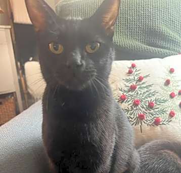 Photo of Galaxie