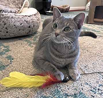 Photo of KiKi-Gentle