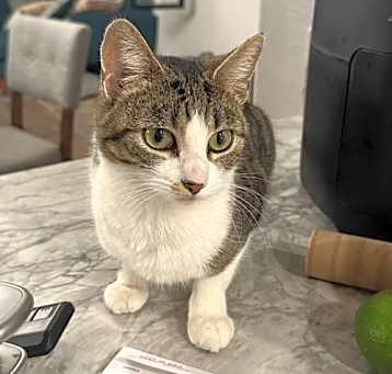 Photo of Millie