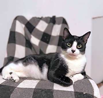 Photo of KABOB