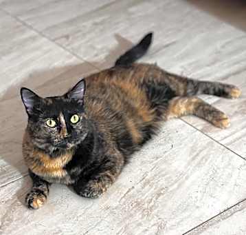 Photo of Chiquita