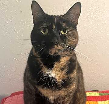 Photo of Evie
