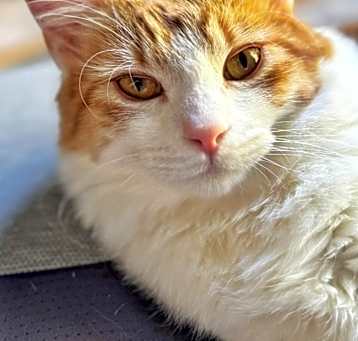 Photo of Princess Dasha