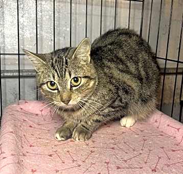 Photo of Raleigh
