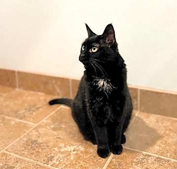 Photo of Senior Girl Marley