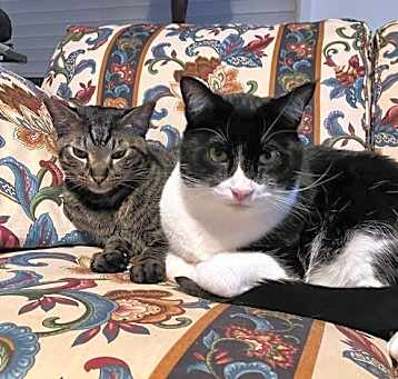 Photo of Peyton & Melvin