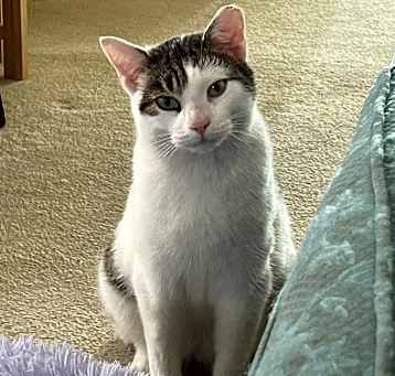Photo of Clyde