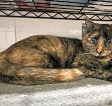 Photo of Wild Thing