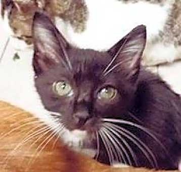 Photo of Gabriel