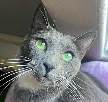 Photo of Bing Bong