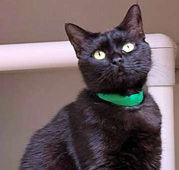 Photo of Kit