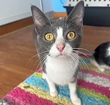 Photo of Hera