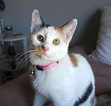 Photo of Myla