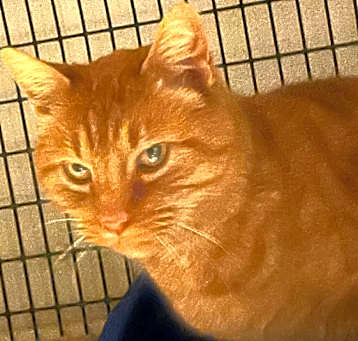 Photo of Sir Charles
