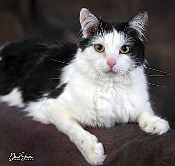 Photo of Norah