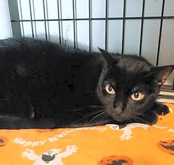 Photo of Stormy