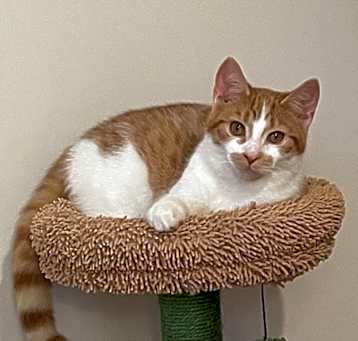 Photo of Gabriel