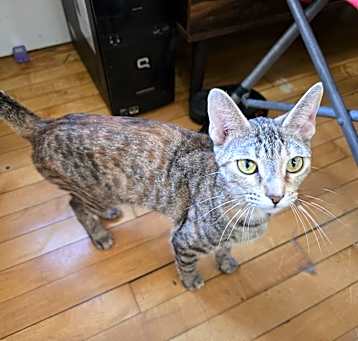 Photo of Fiona