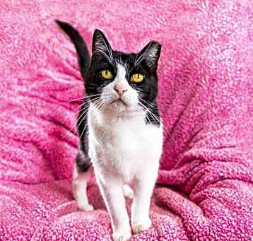 Photo of Sweet Rebecca