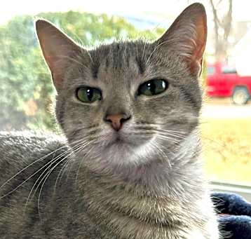 Photo of Maizie Mae