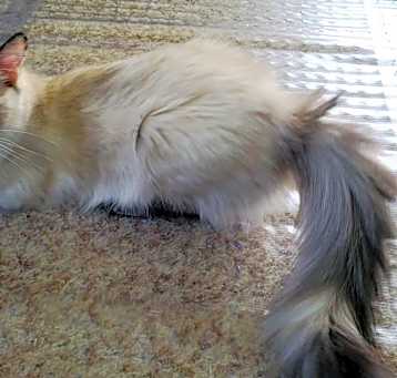 Photo of Gwendolyn