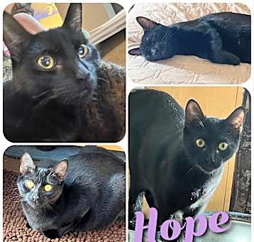 Photo of Hope