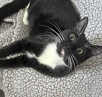 Photo of Sugar