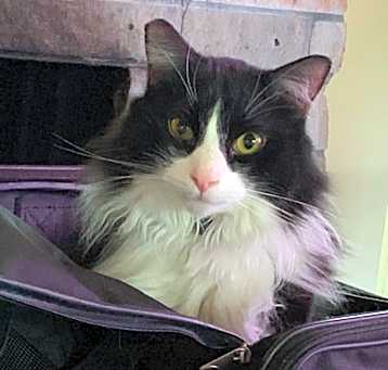 Photo of Butler